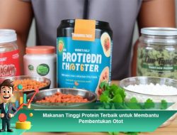 Makanan Tinggi Protein Terbaik untuk Membantu Pembentukan Otot