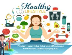 Panduan Harian Hidup Sehat Untuk Mendukung Produktivitas Tubuh Sepanjang Hari
