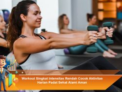 Workout Singkat Intensitas Rendah Cocok Aktivitas Harian Padat Sehat Alami Aman
